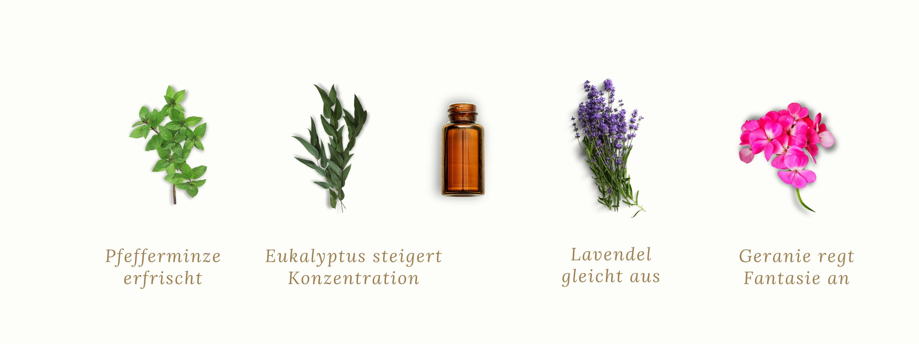 Duftmischung VITALITY mit Pfefferminz, Eukalyptus, Geranie und Lavendel