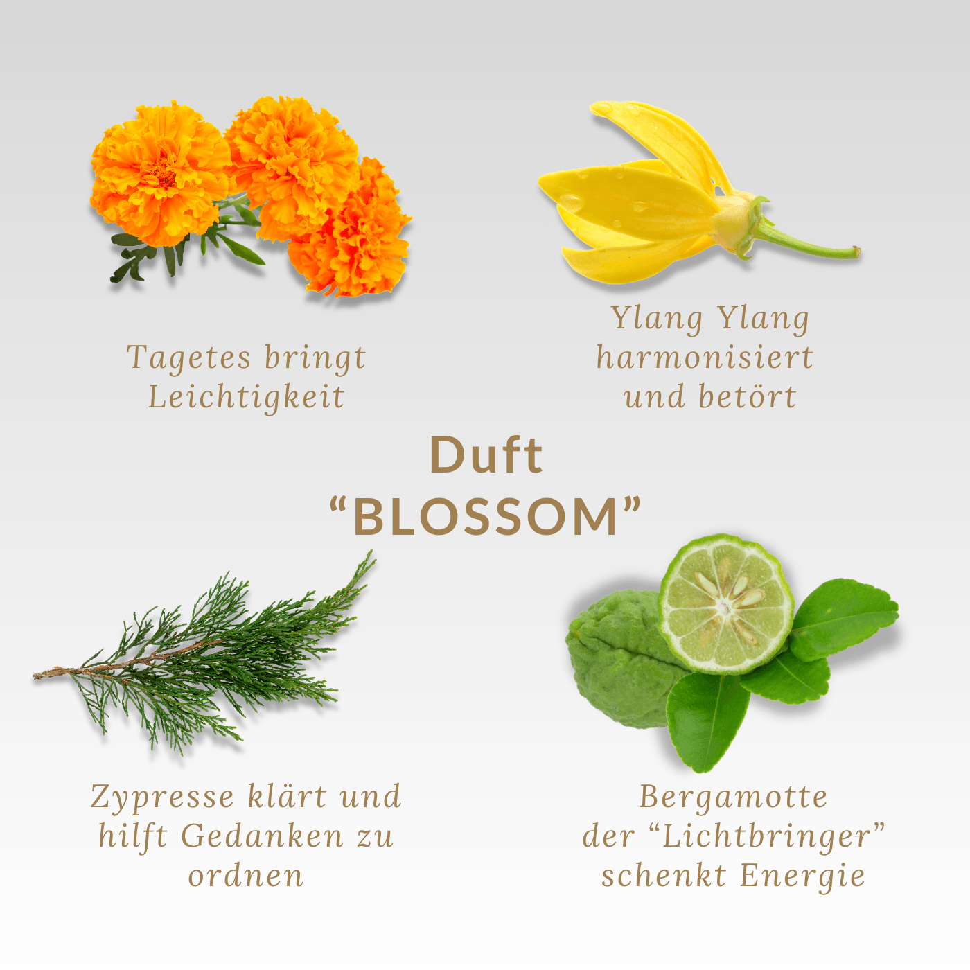 Reise Duftkerze "BLOSSOM" riecht geheimnisvoll-floral & Audio-Meditation | ca. 10h Brenndauer