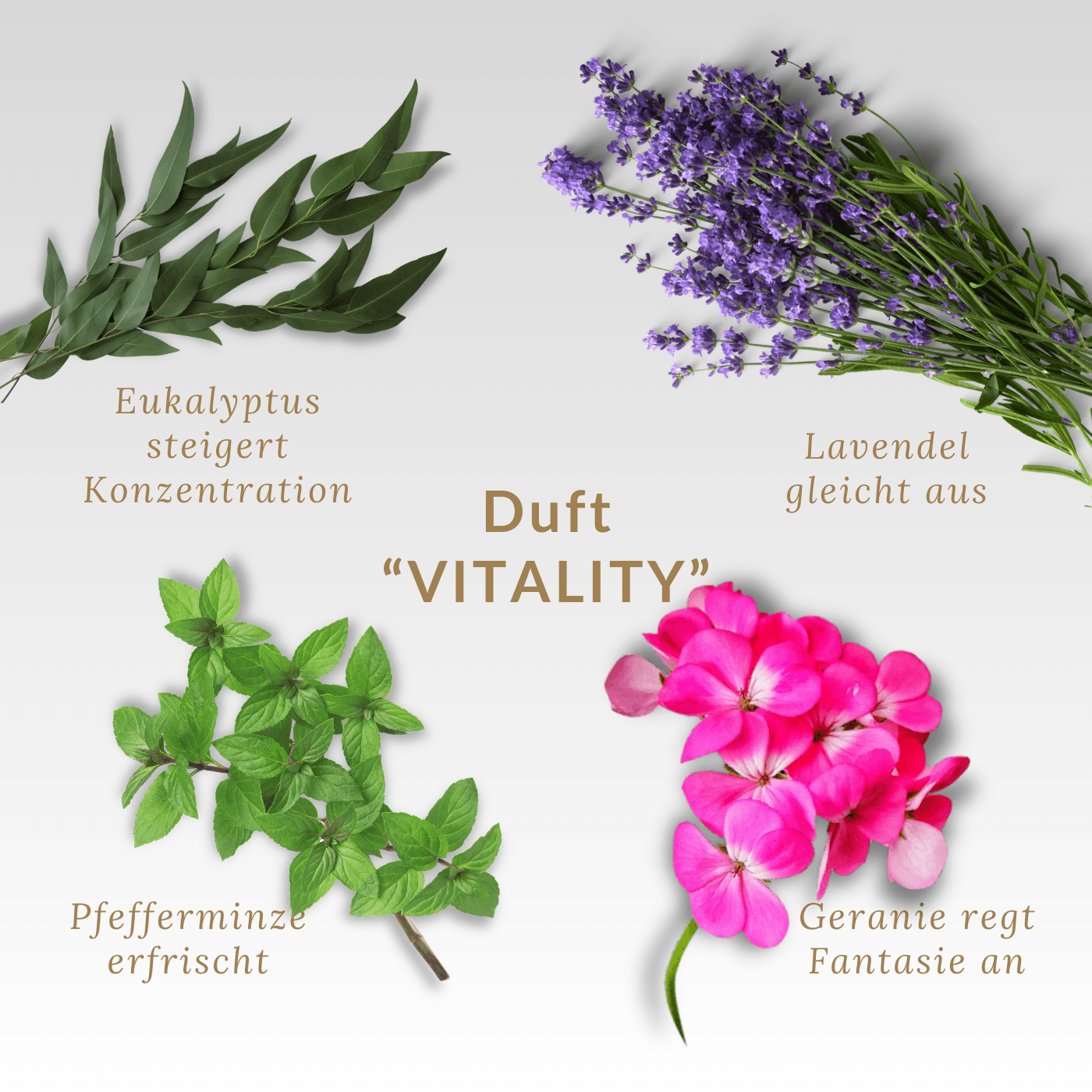 Duftkerze "CLARITY. Klarheit" mit natürlicher Pfefferminze, Eukalyptus & Audio Meditation