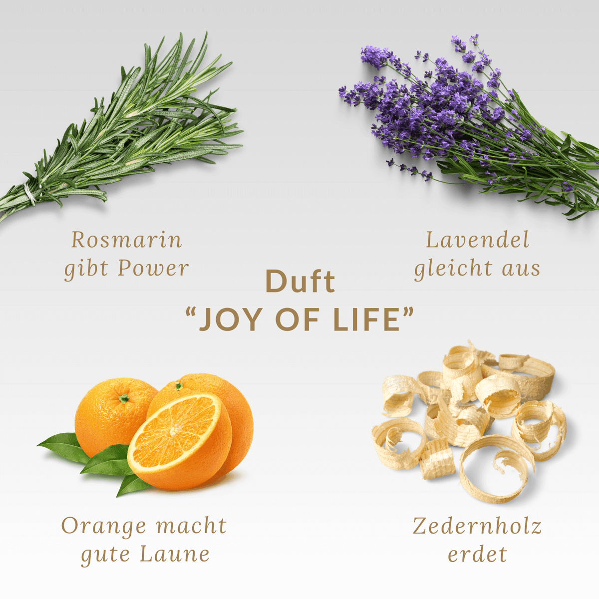 Duftmischung JOY OF LIFE